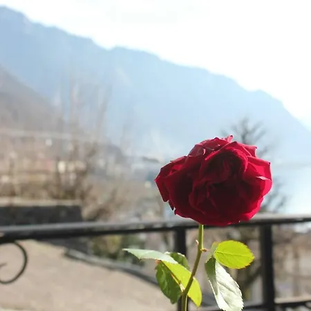 Centre 2-8 P., View And Chillon Castle Apartmán Montreux