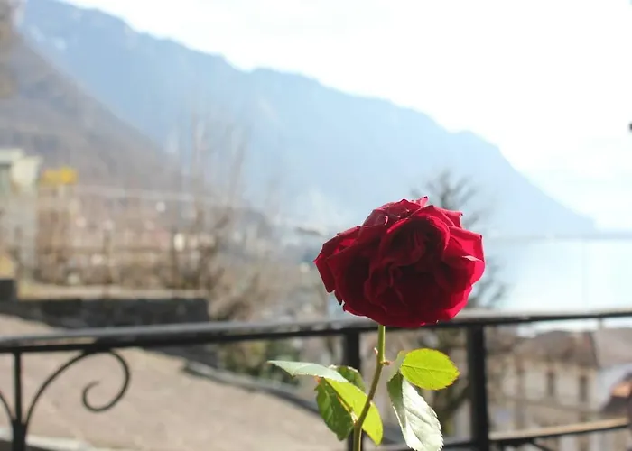 Centre 2-8 P., View And Chillon Castle Appartamento Montreux